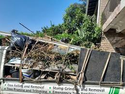 Shed Removal in International Falls, MN